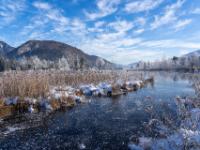 Vereister Zufluß zum Walchsee